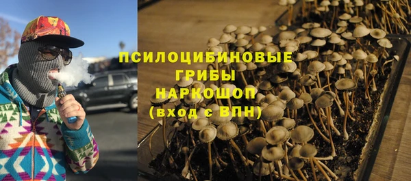 герыч Арсеньев