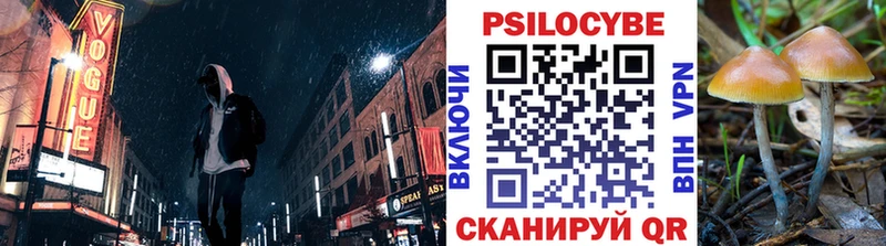 Галлюциногенные грибы Psilocybine cubensis где купить наркоту Ельня